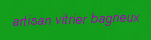 Artisan vitrier Bagneux